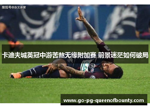 卡迪夫城英冠中游苦熬无缘附加赛 前景迷茫如何破局